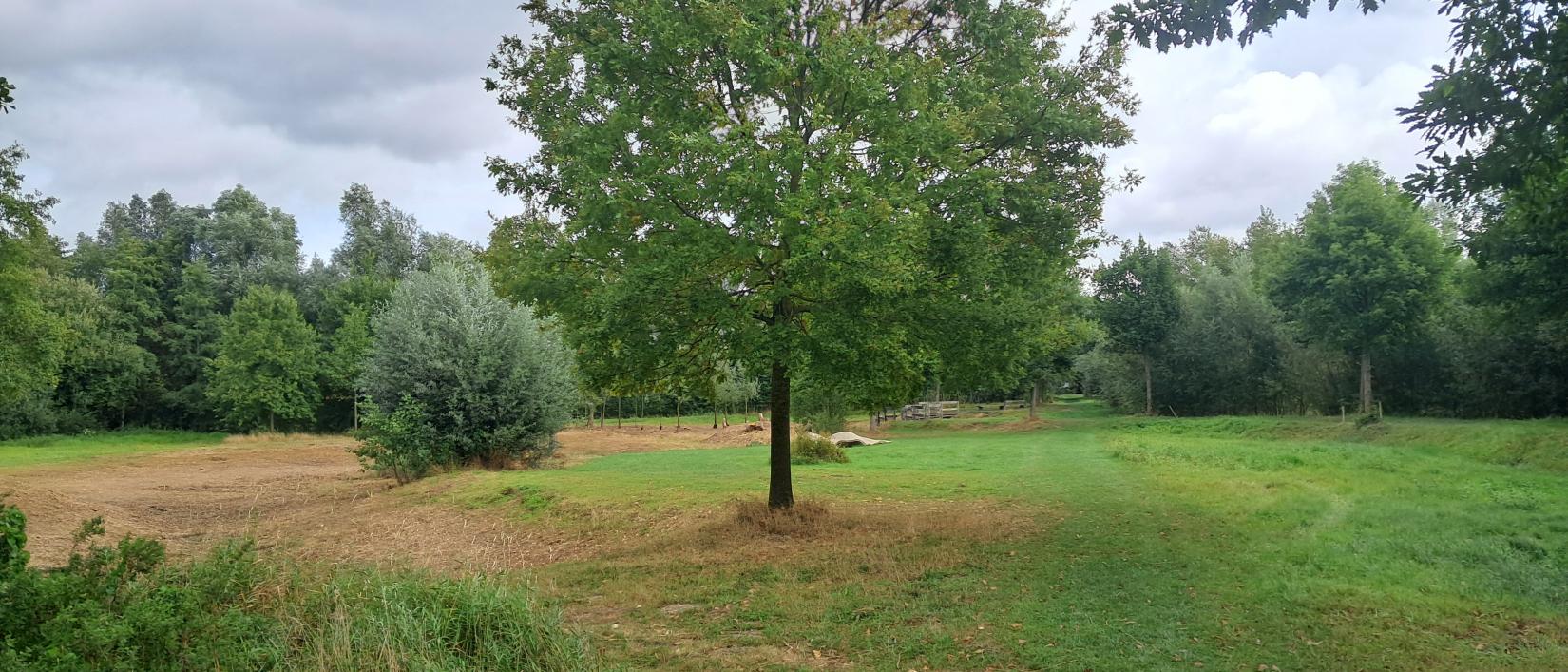 Zicht op domein Groene Velden in Mariakerke (Gent)