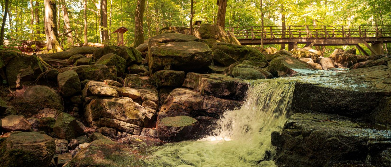 Holzbachschlucht