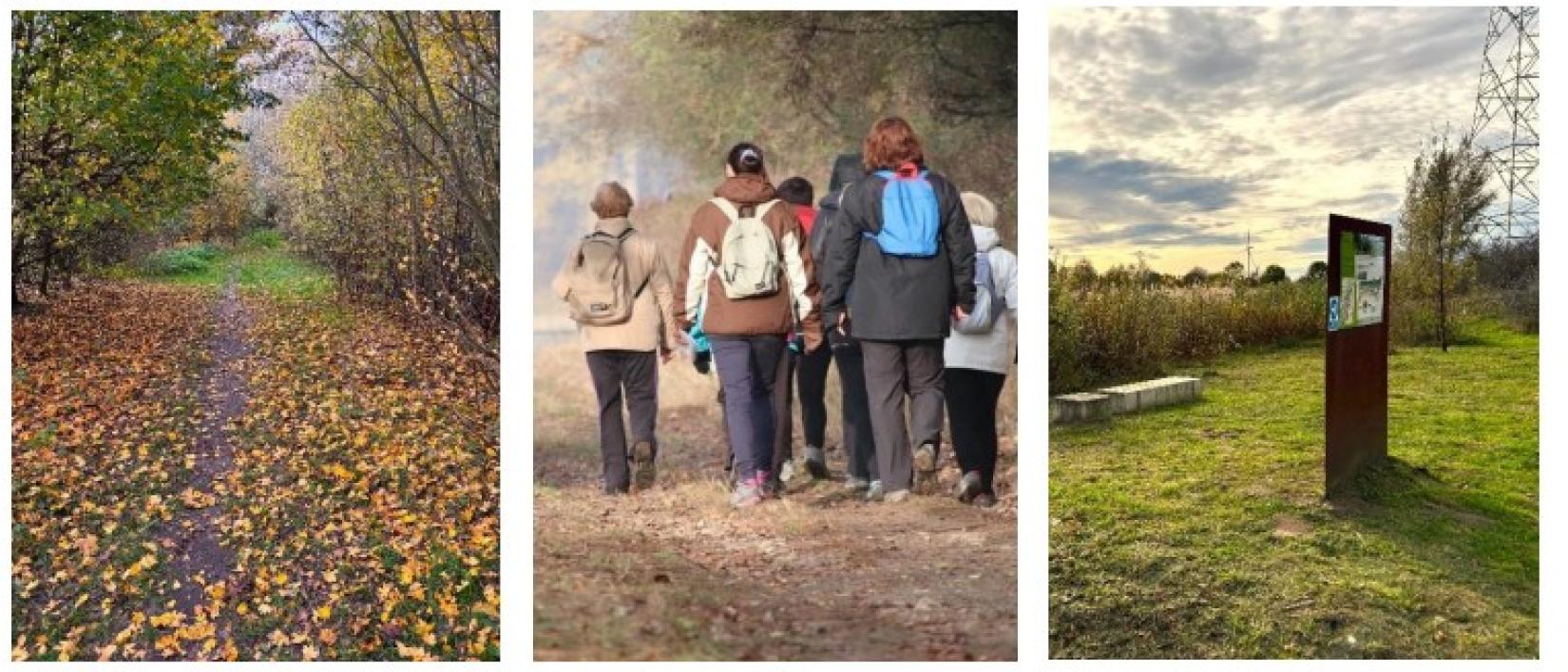 wandeling naar het koppelingsgebied Desteldonk-Noord