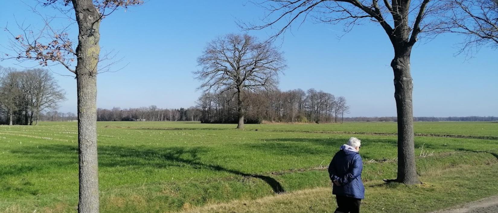 Nieuwjaar Wandeling