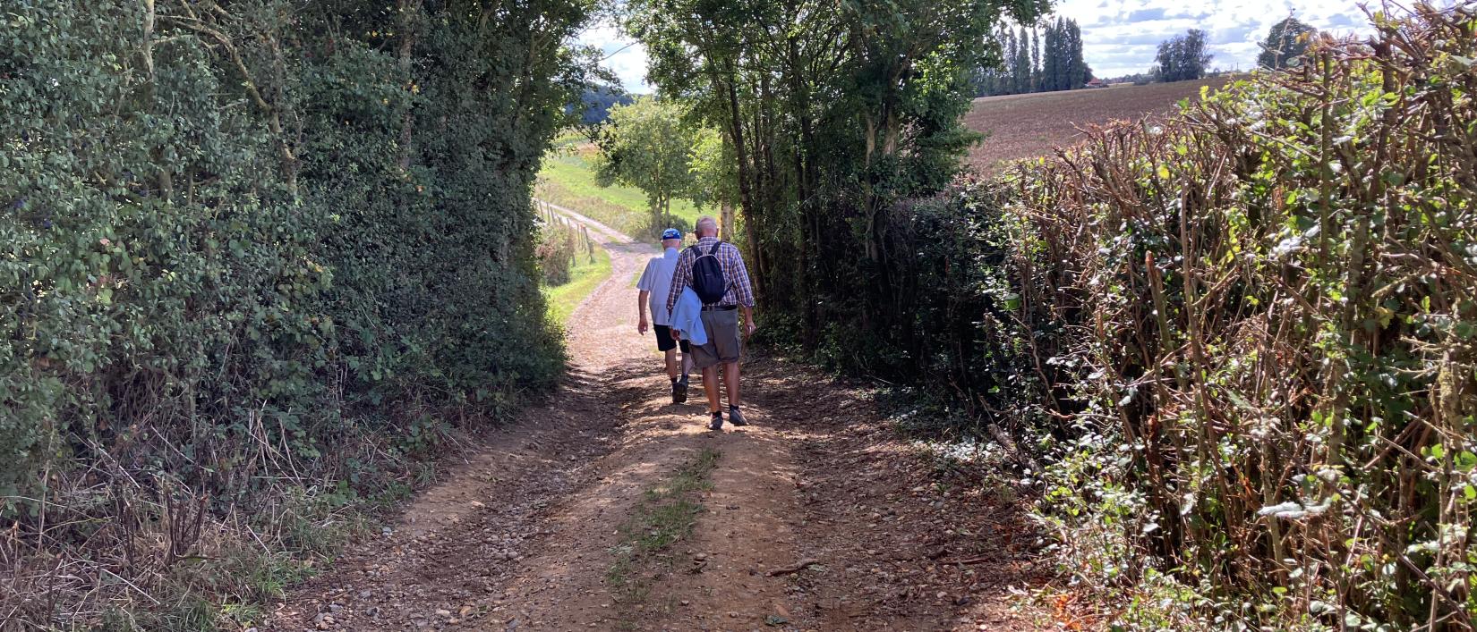 winter in Heuvelland