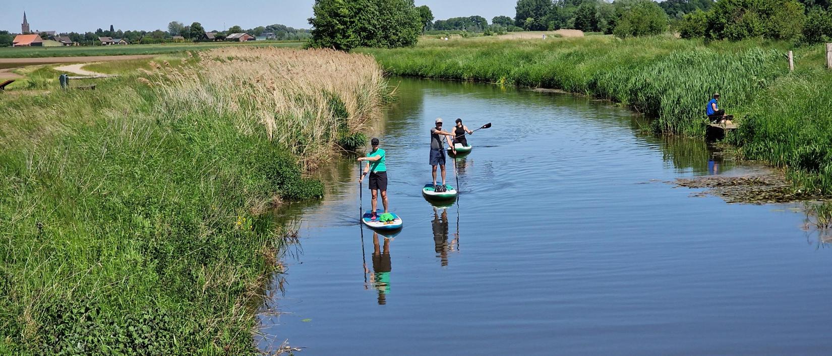 Wandeling Rijsbergen