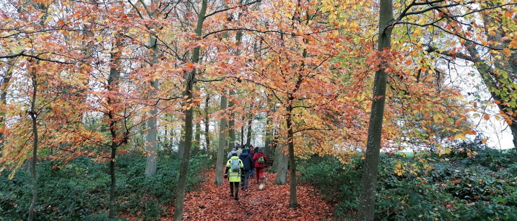 Bibbertocht Londerzeel