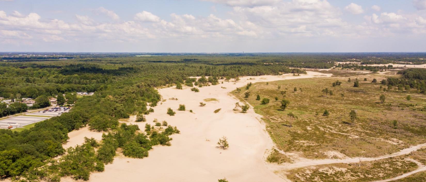 Loonse-en-DrunenseDuinen