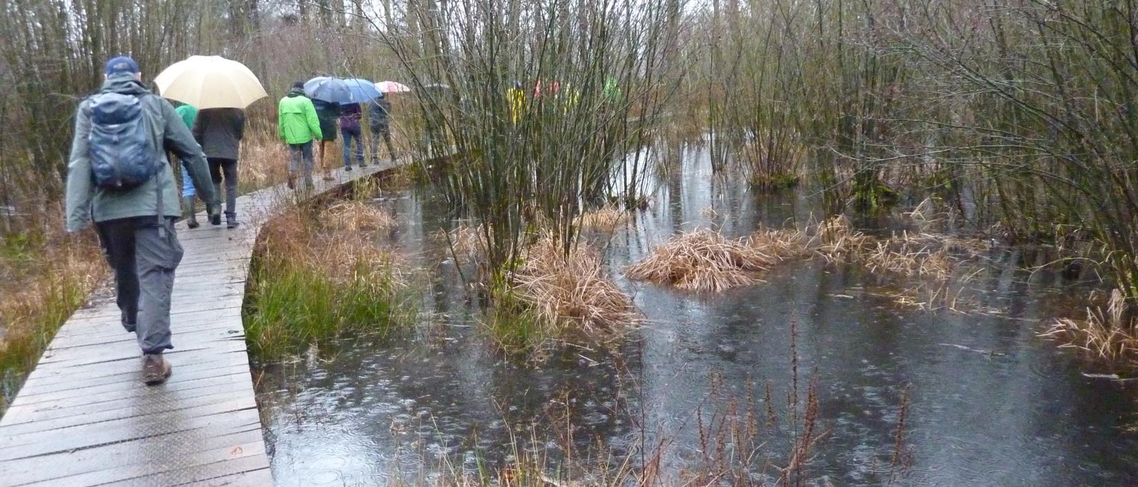 wandelen doorheen de Ekselse natuur