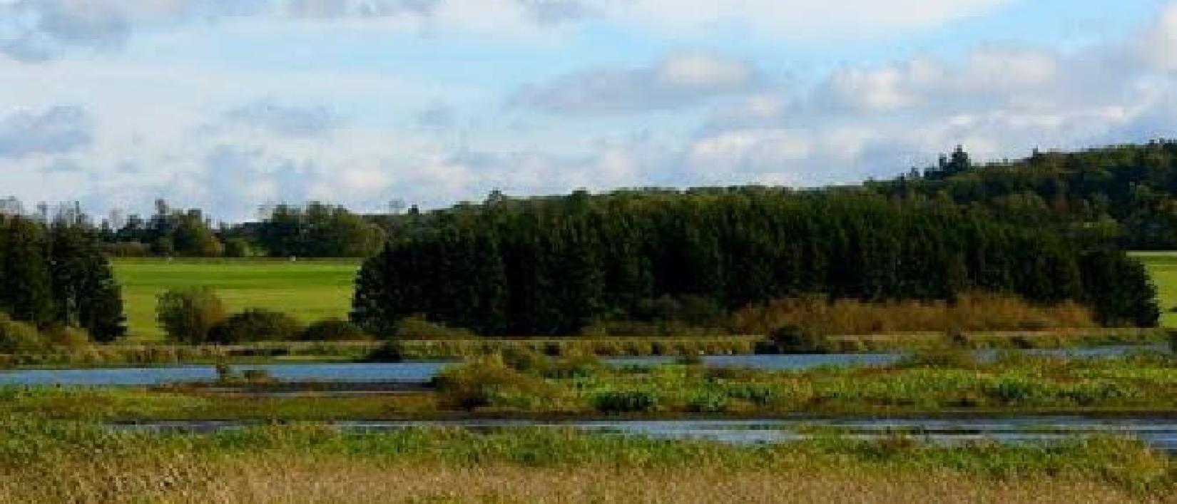 Hoofdfoto Campingplatz Jungferweiher