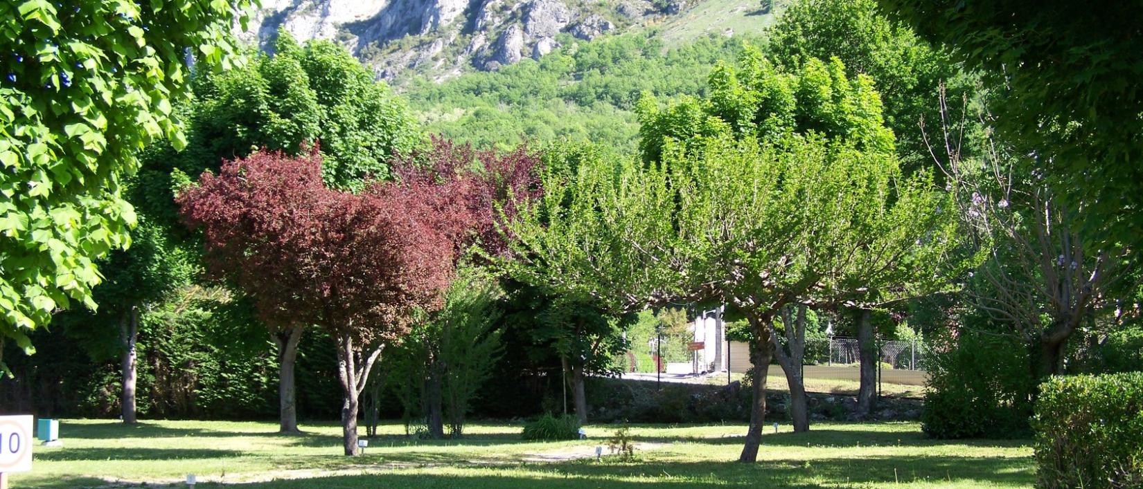 Hoofdfoto Camping Le Sédour