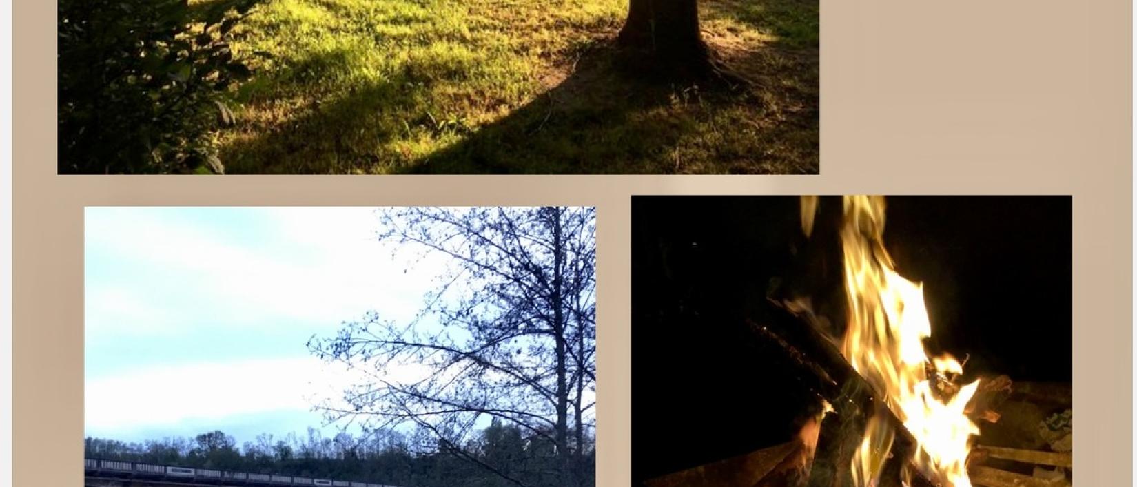 Hoofdfoto Camping Les Bergers De La Dordogne