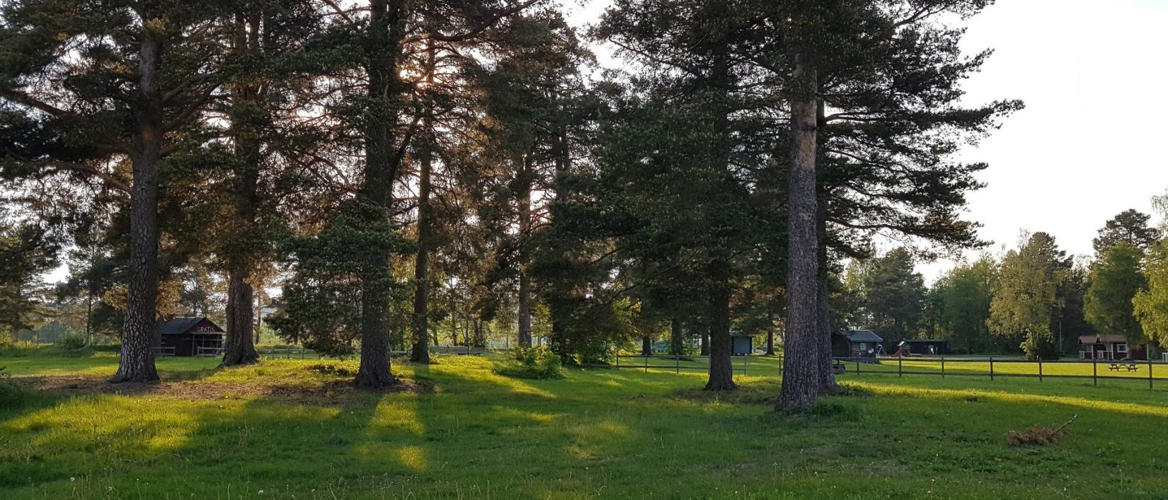 Hoofdfoto Nås Camping