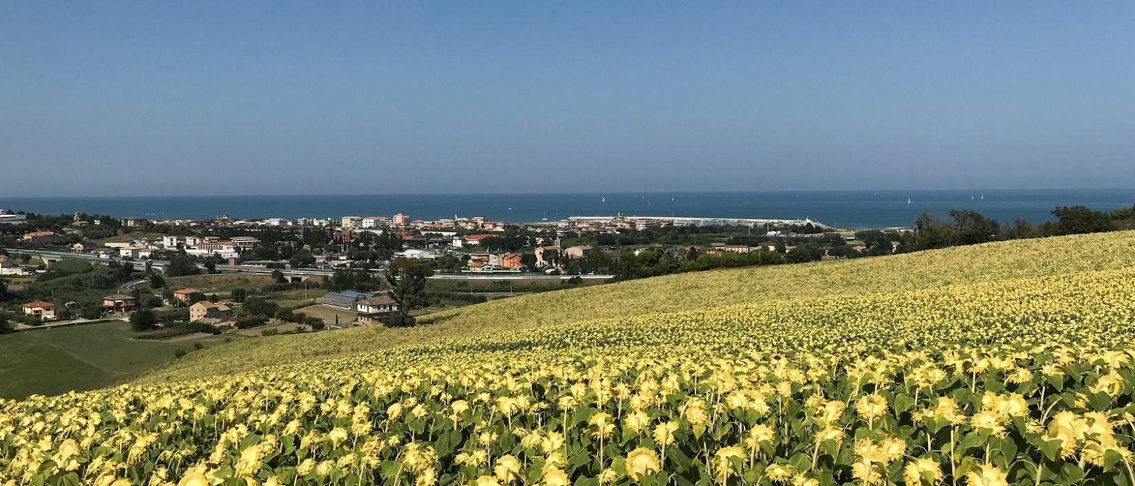 Hoofdfoto Agricamping Abbruzzetti