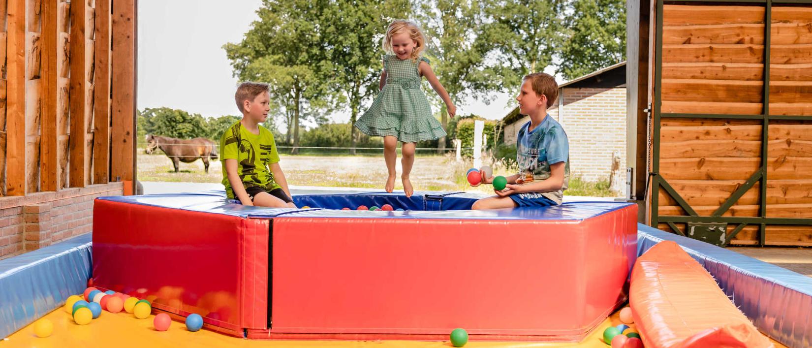 Hoofdfoto Charme Camping En Appartementen De Regge-vallei