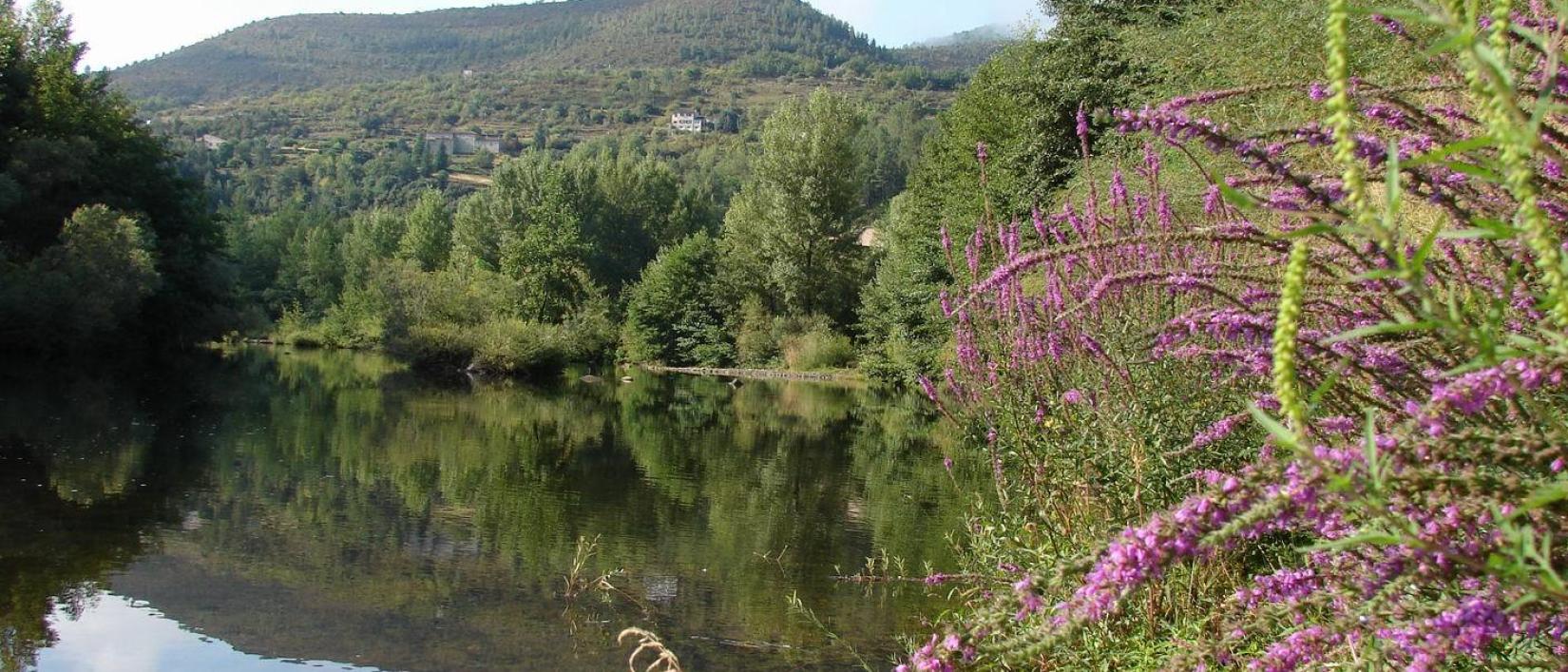 Hoofdfoto Camping Le Mas Du Serre