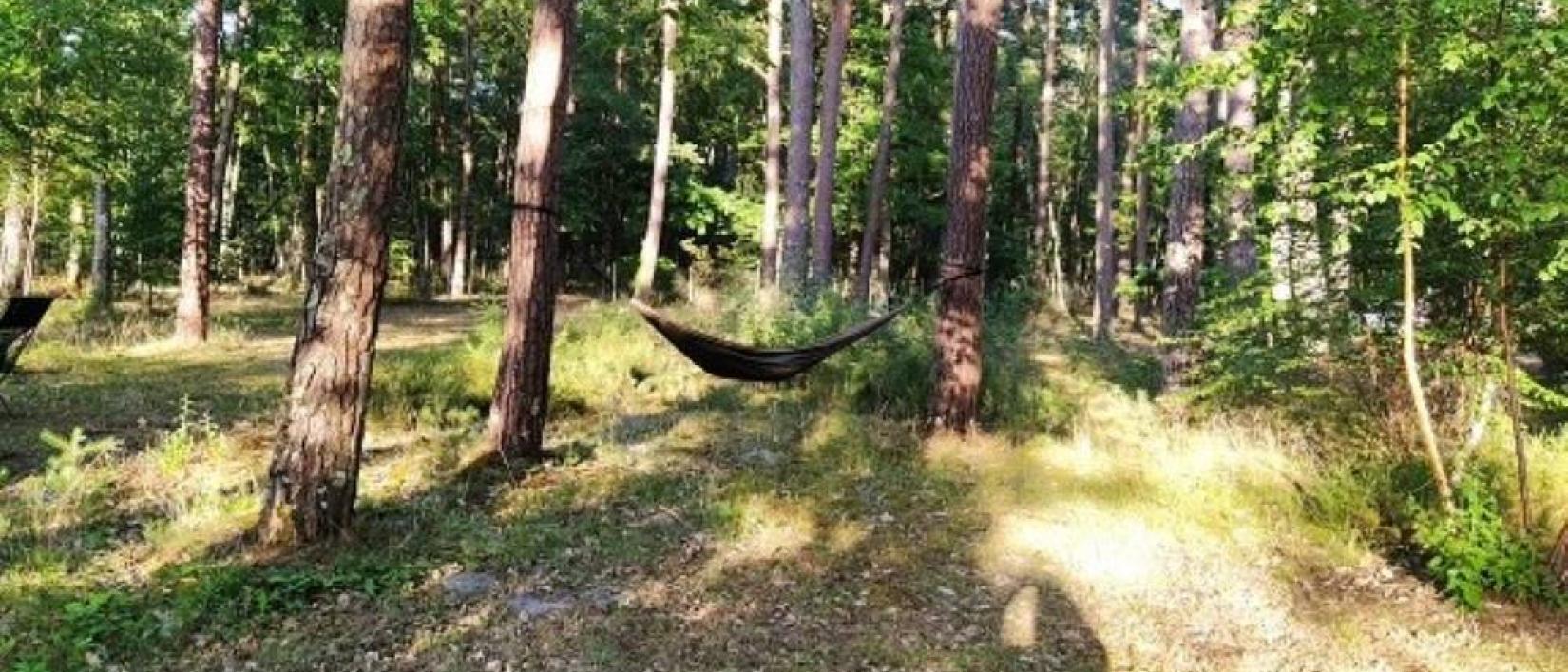 Hoofdfoto Camping Onlycamp Les Pins