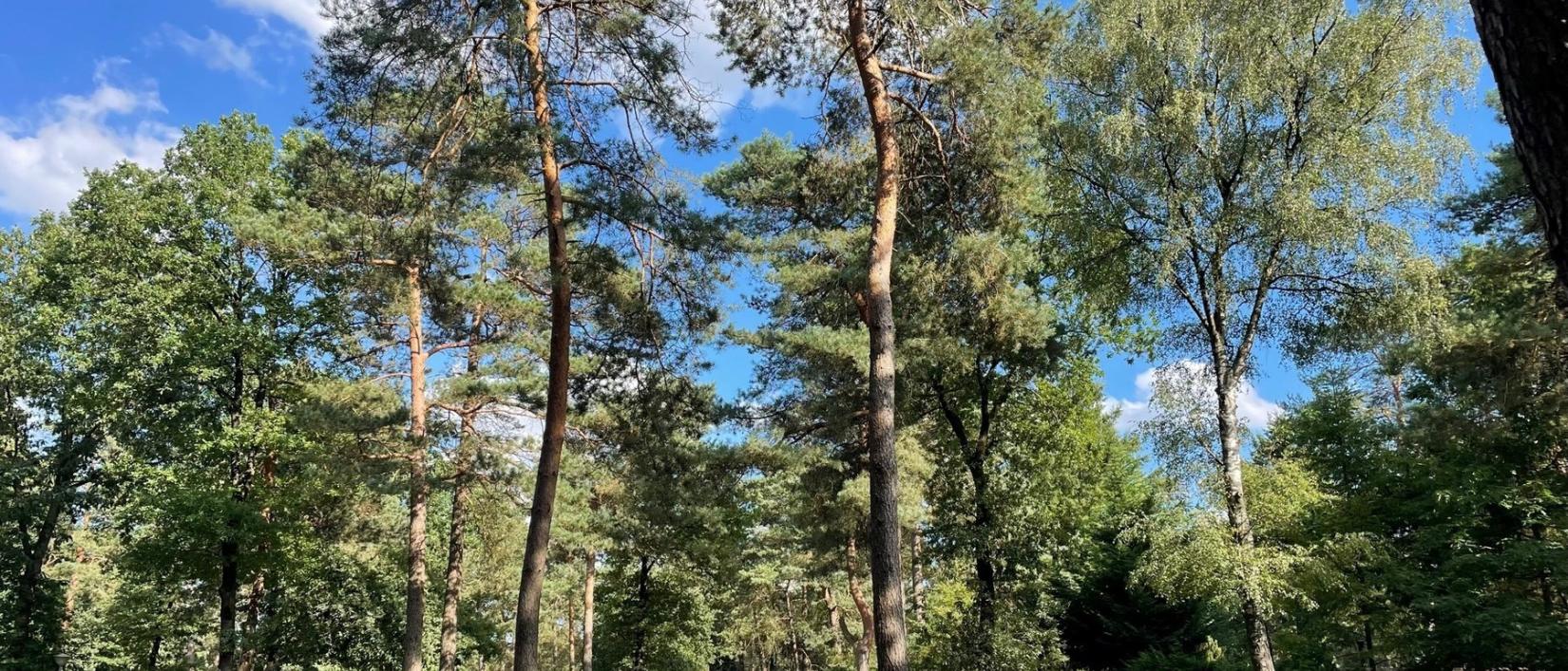 Hoofdfoto Vakantiepark Hertenhorst