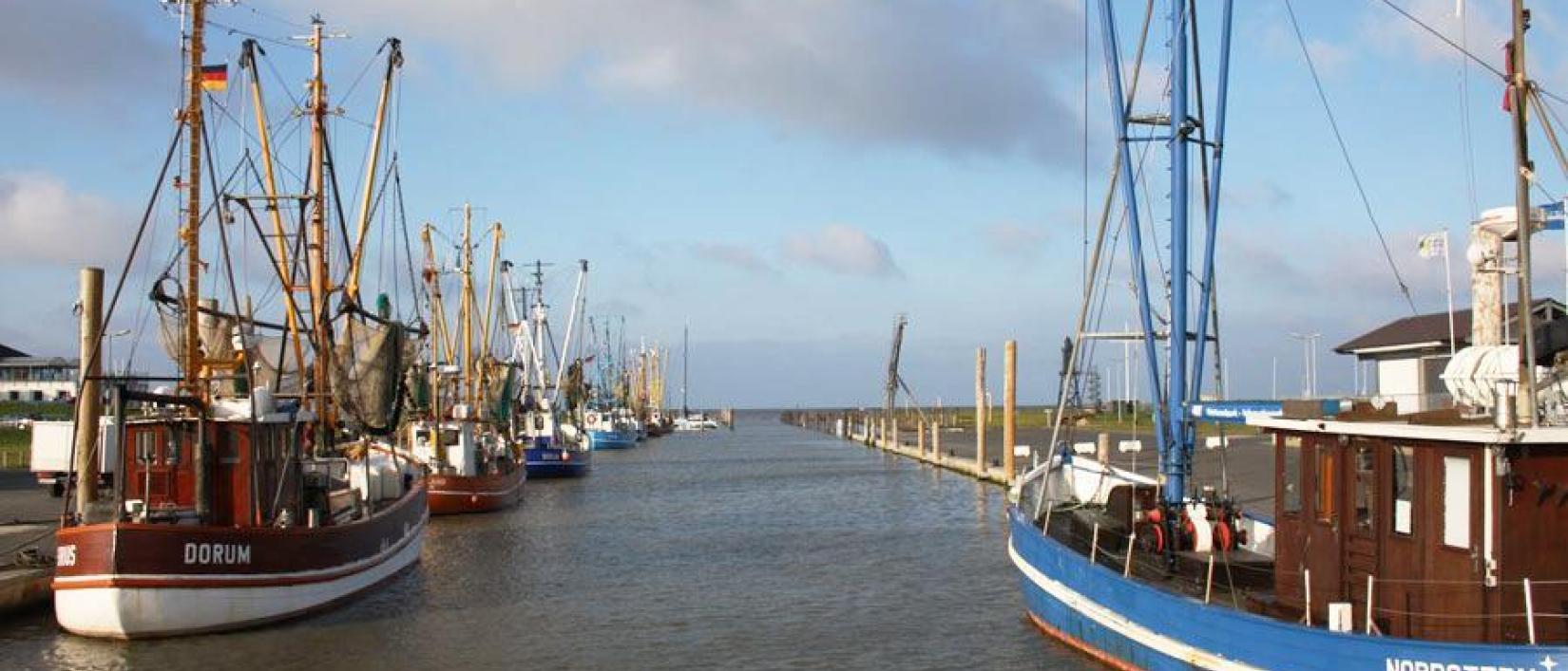Hoofdfoto Knaus Campingpark Dorum