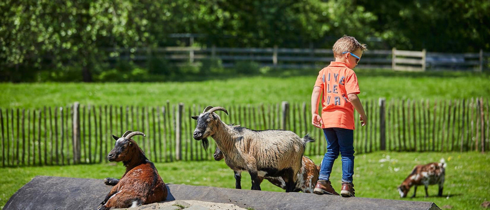 Hoofdfoto Camping Het Winkel