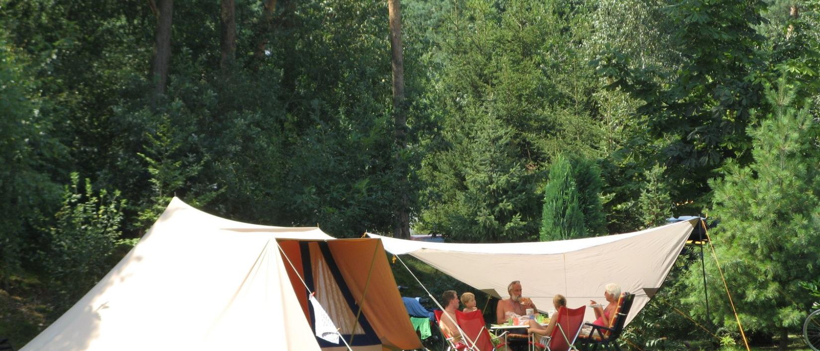 Hoofdfoto Parccamping De Witte Vennen
