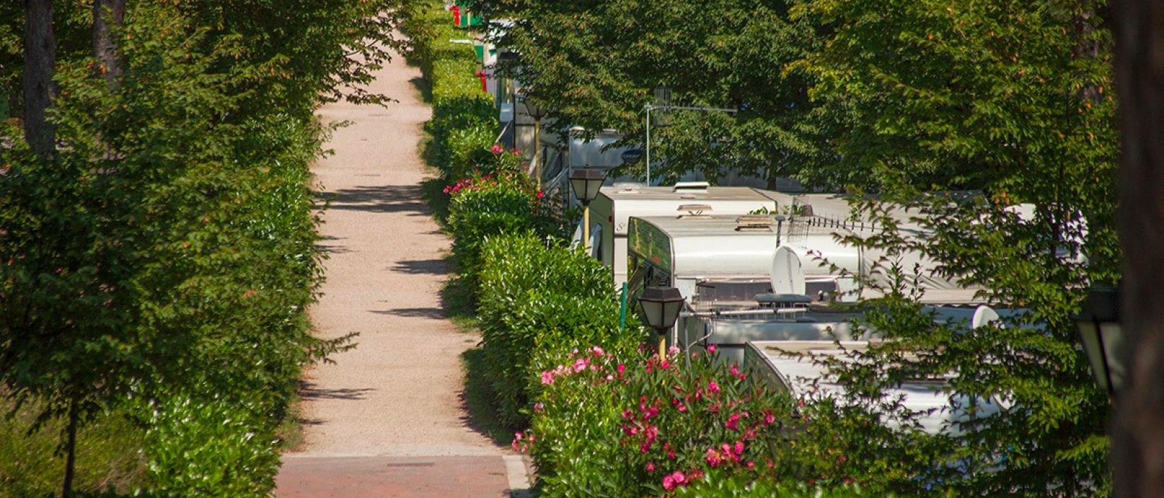Hoofdfoto Camping Mare Pineta