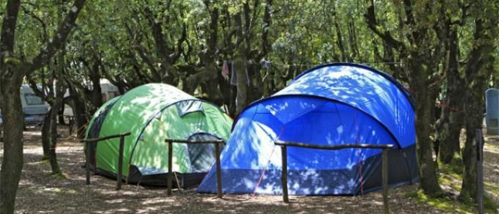Hoofdfoto Camping Boschetto Di Piemma