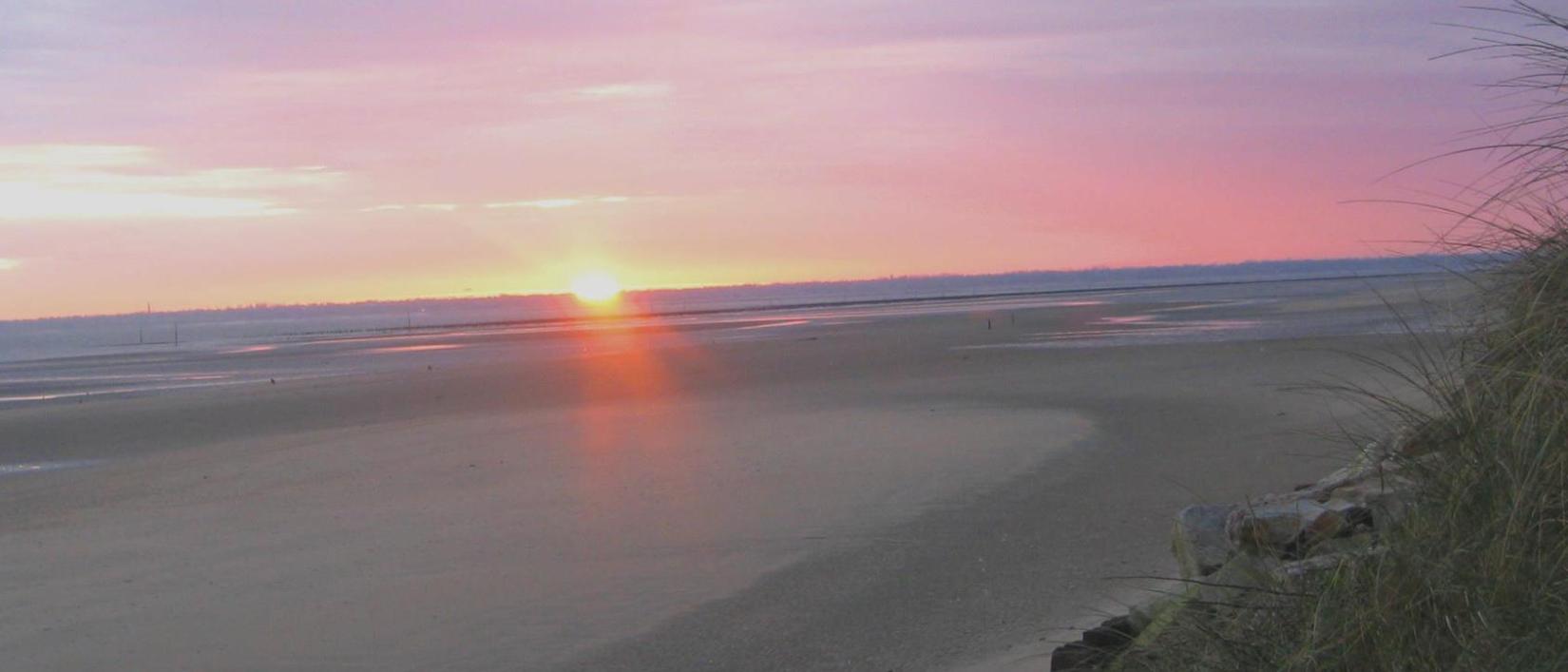 Hoofdfoto Flower Camping Les Utah Beach