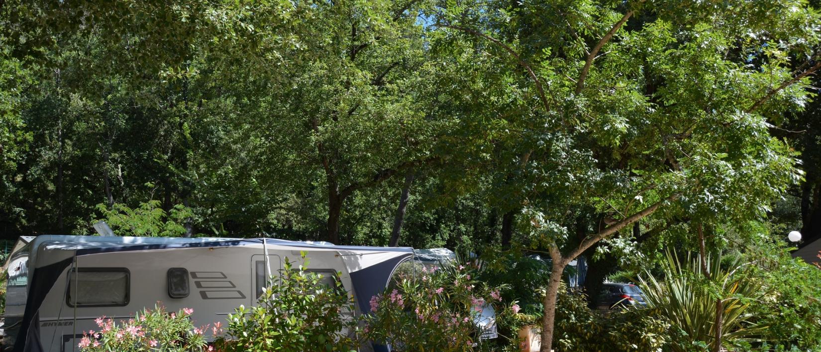 Hoofdfoto Camping Sites Et Paysages Les Pinèdes