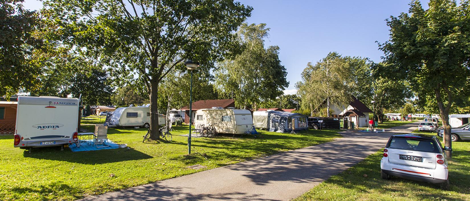 Hoofdfoto Camping Terme 3000