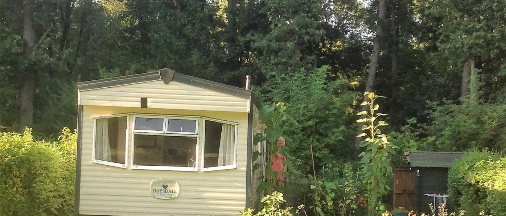 Hoofdfoto Camping Het Bosbad