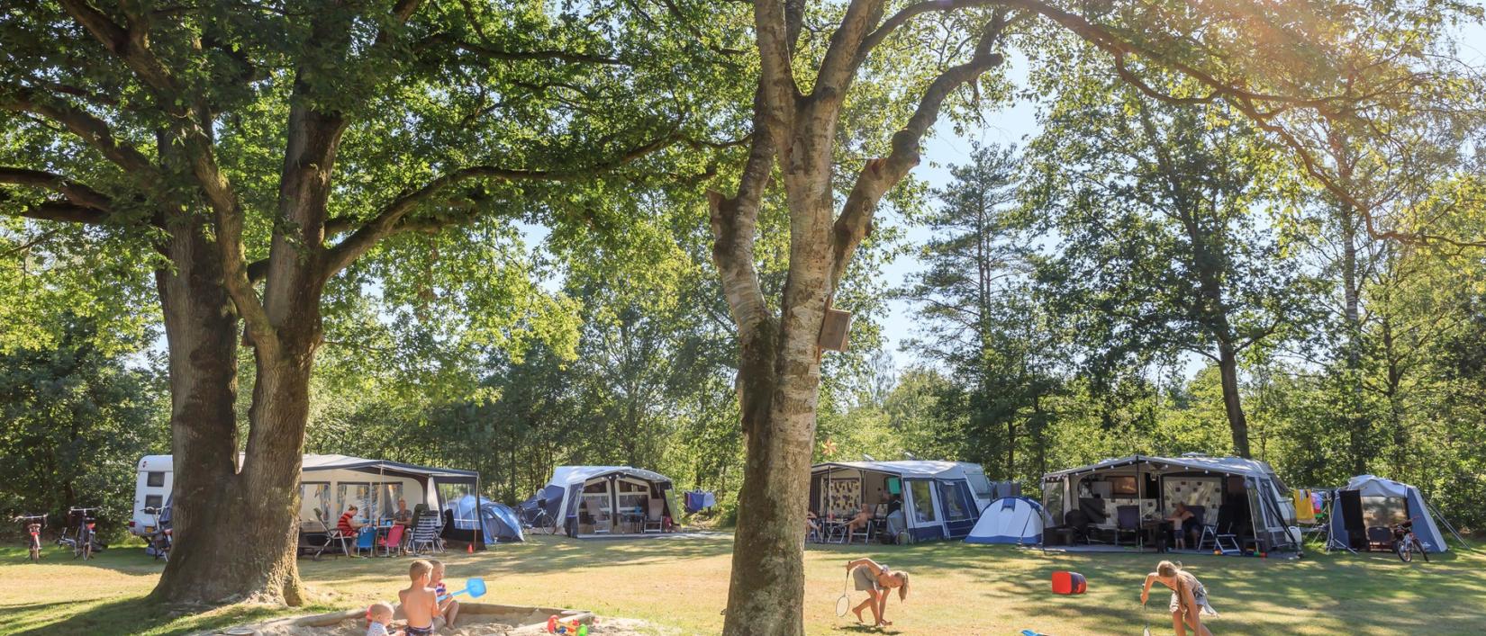 Hoofdfoto Rcn Vakantiepark De Roggeberg