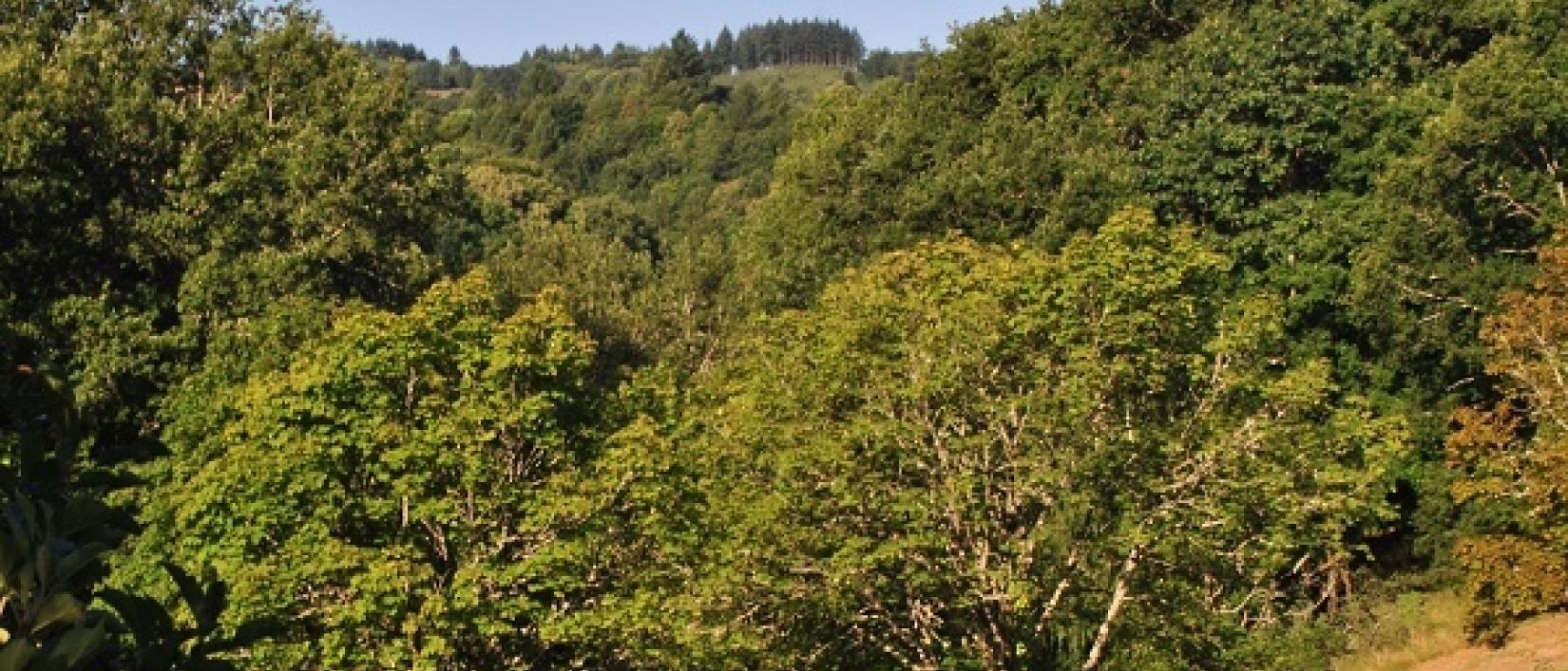 Hoofdfoto Camping Au Pont Du Dognon