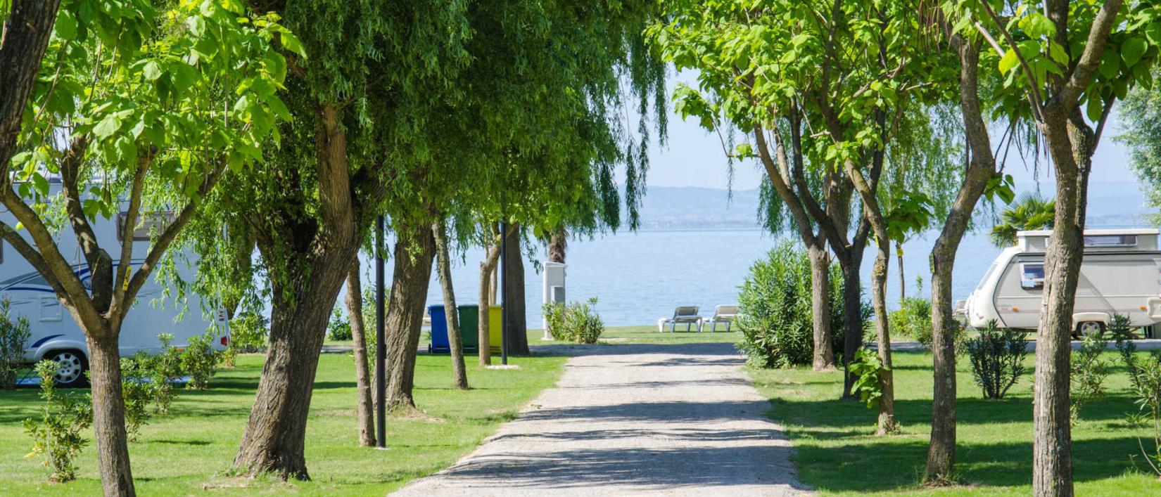 Hoofdfoto Camping Trasimeno