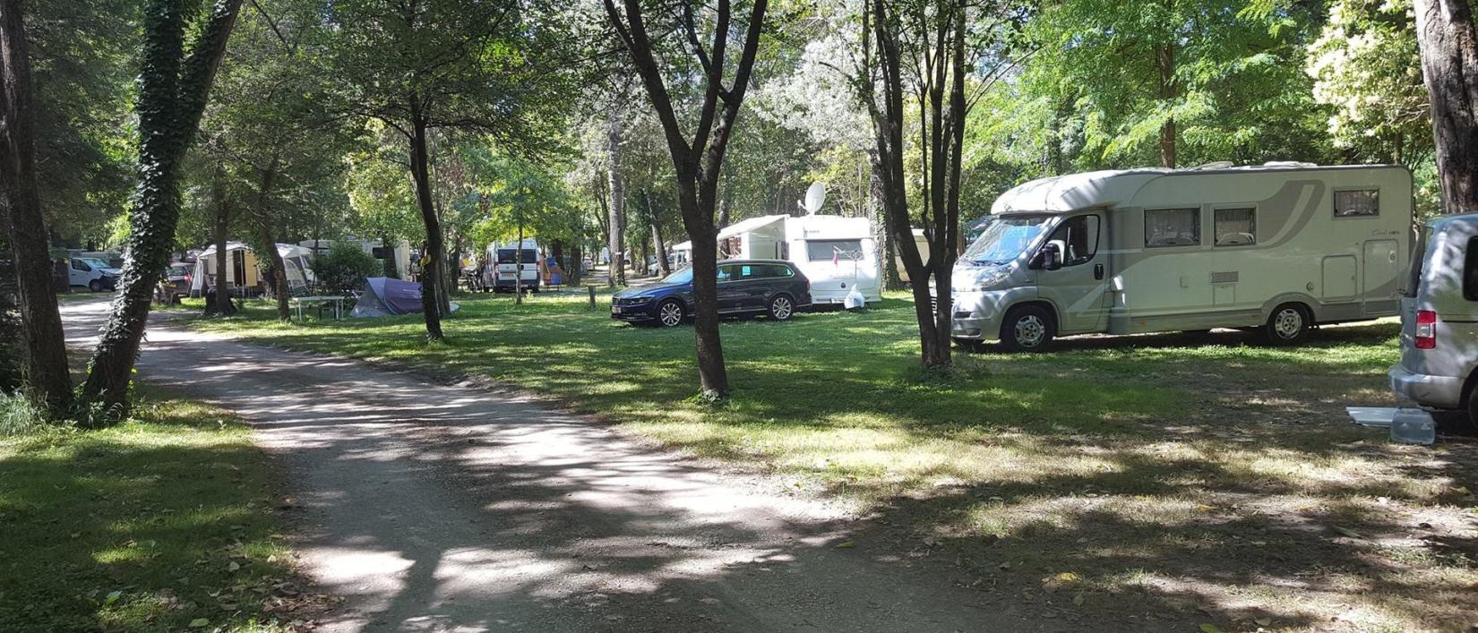Hoofdfoto Camping Du Lion