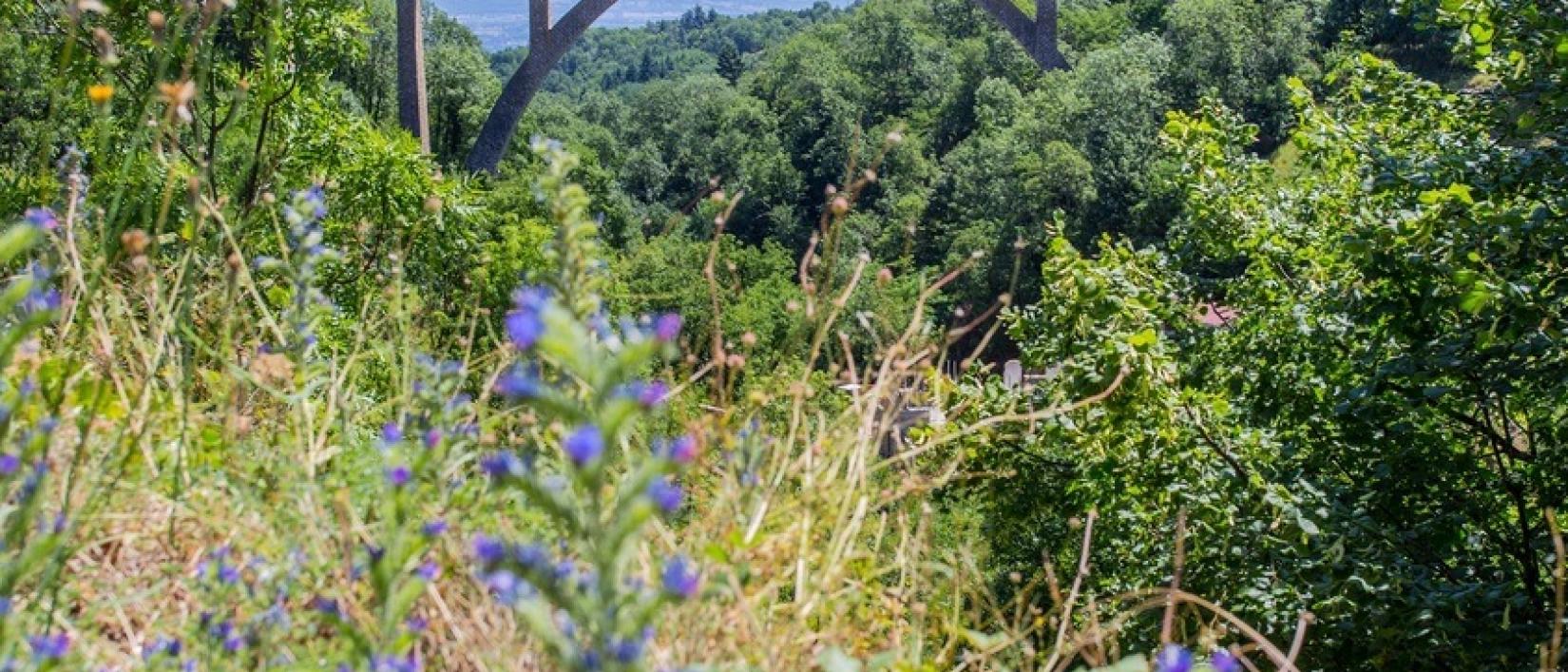 Hoofdfoto Camping Bel'-époque Du Pilat