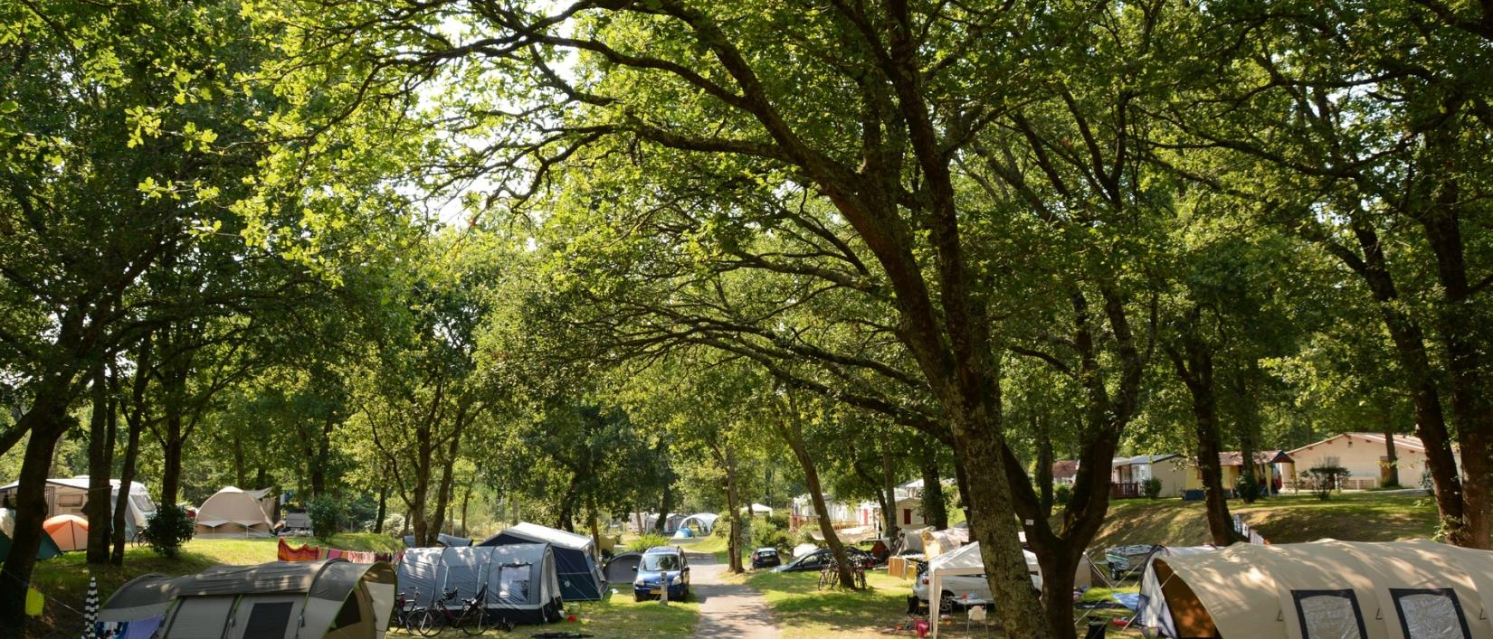 Hoofdfoto Camping Le Logis Du Breuil