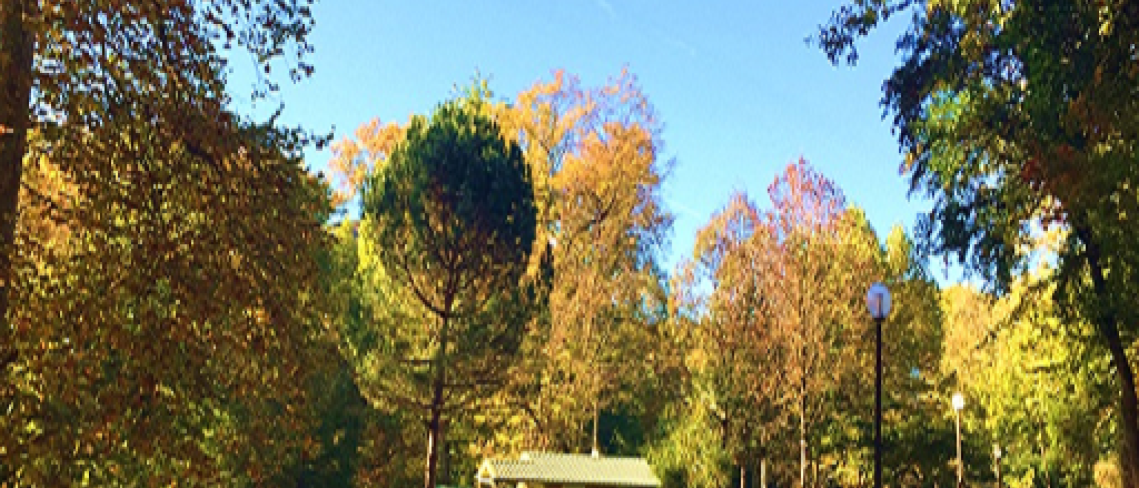 Hoofdfoto Camping Parc D'audinac Les Bains