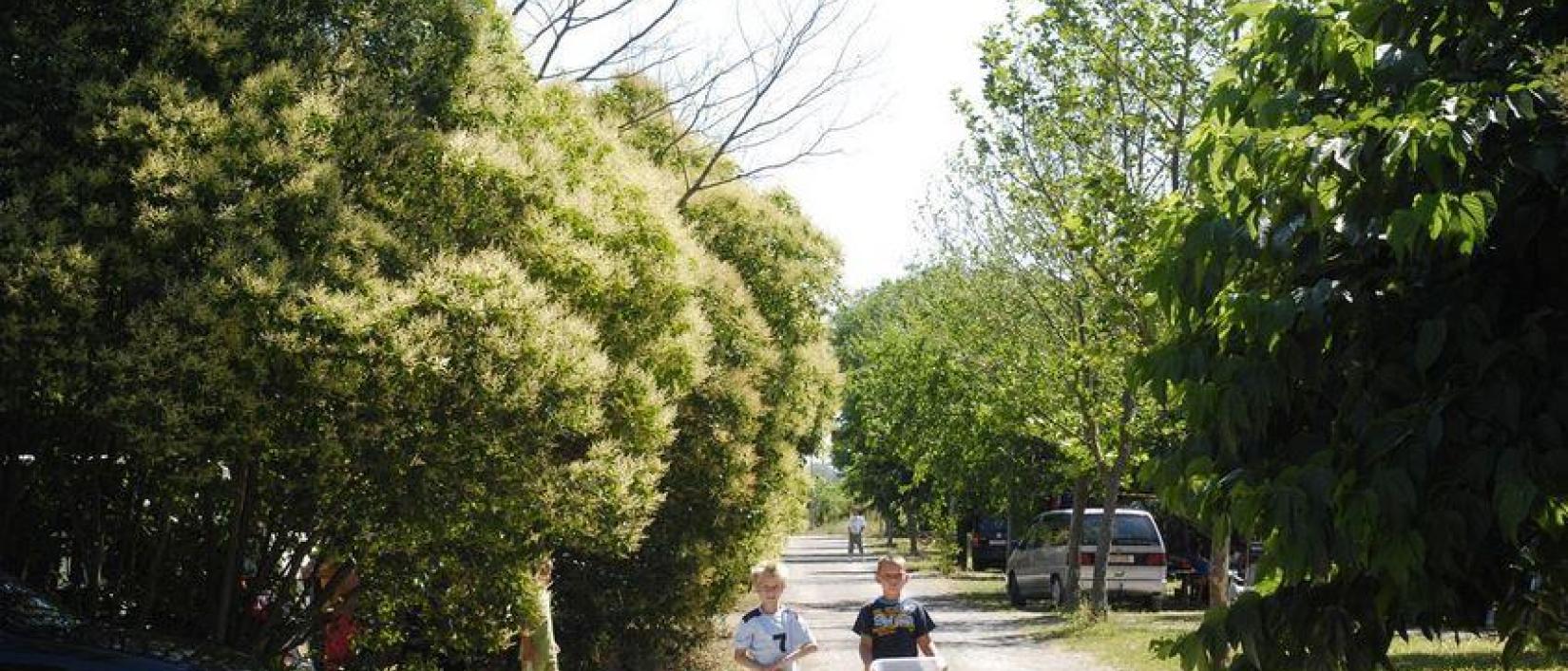 Hoofdfoto Camping Durance Luberon