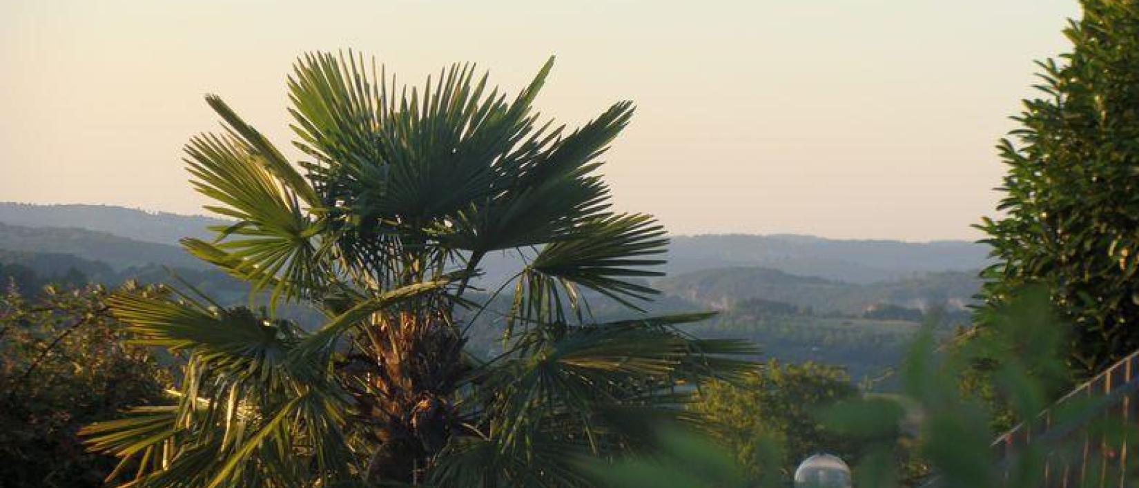 Hoofdfoto Camping Le Daguet