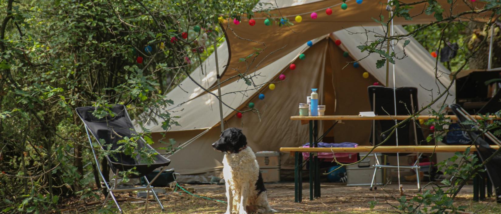 Hoofdfoto Landgoedcamping Het Meuleman