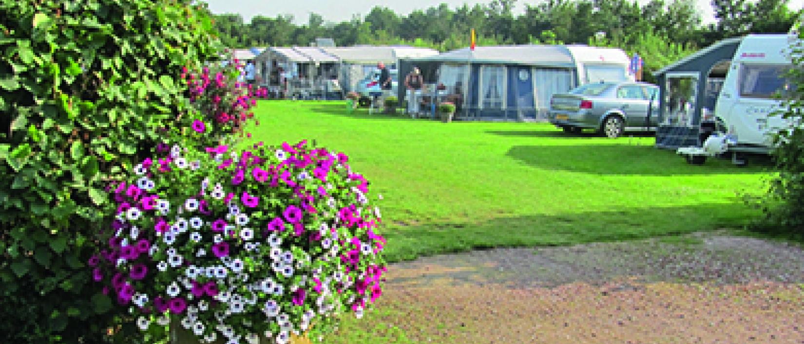 Hoofdfoto Camping Rotandorp