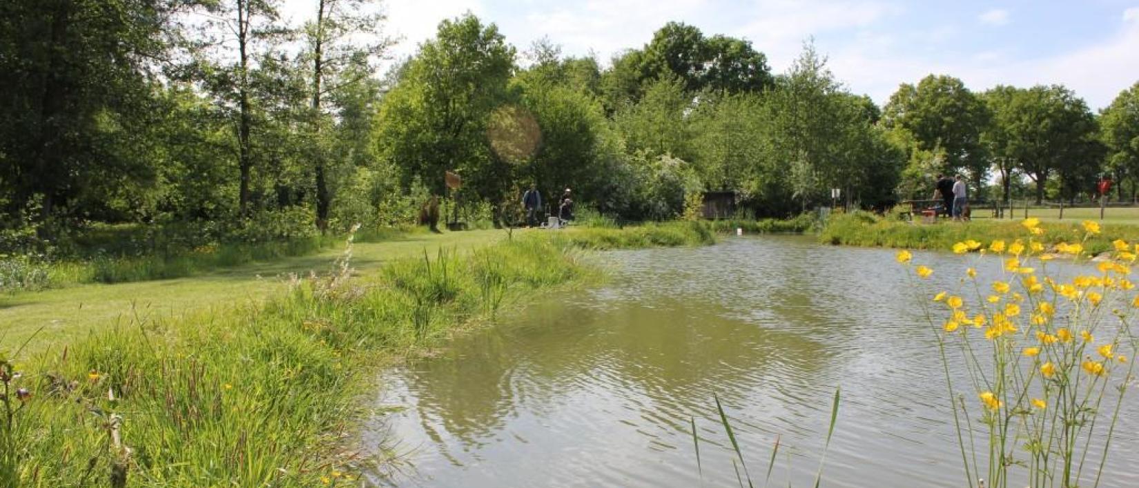 Hoofdfoto Camping Geelenhoof