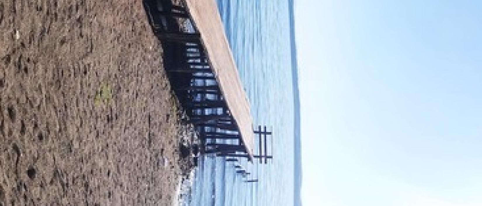 Hoofdfoto Camping Azzurro, Bracciano
