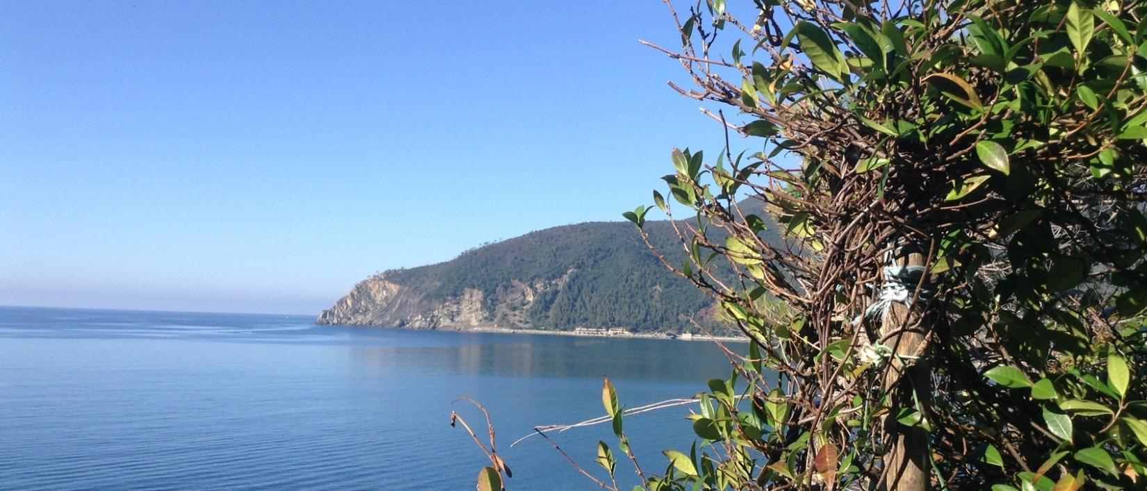 Hoofdfoto Camping Il Rospo