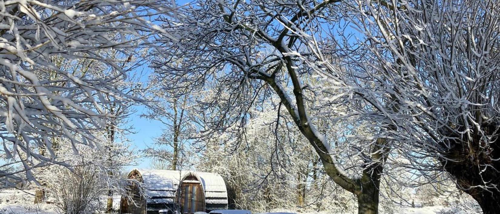 Hoofdfoto Natuurkampeerterrein Singel