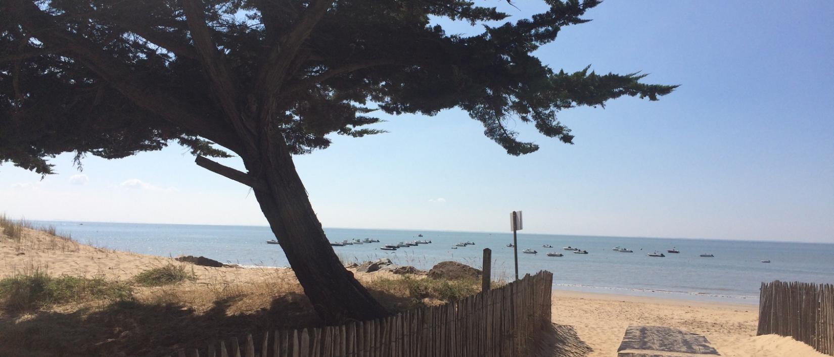 Hoofdfoto Camping La Grande Vallée