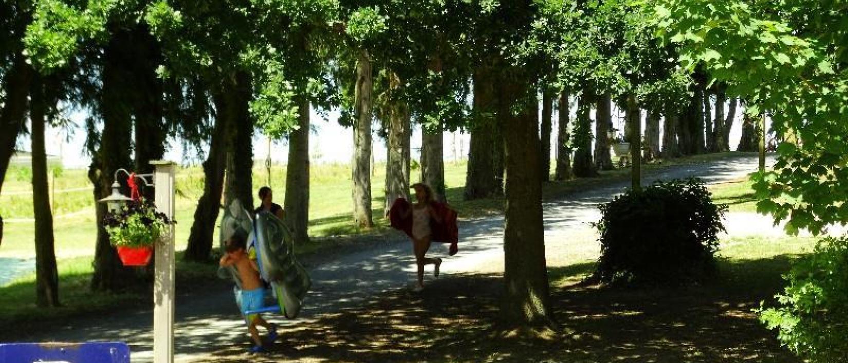 Hoofdfoto Camping Les Étangs Du Moulin