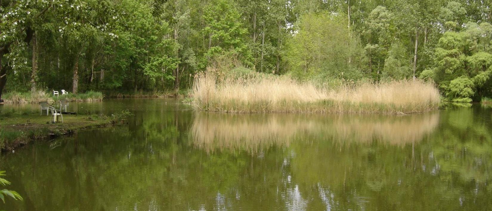Hoofdfoto Le Cattiaux Camping