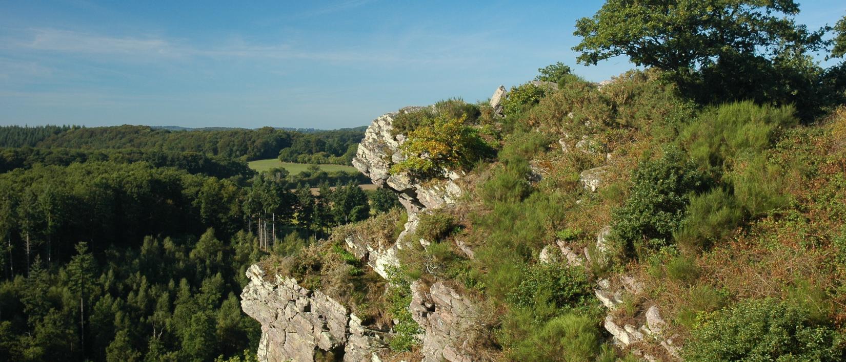 Hoofdfoto Camping De La Rouvre