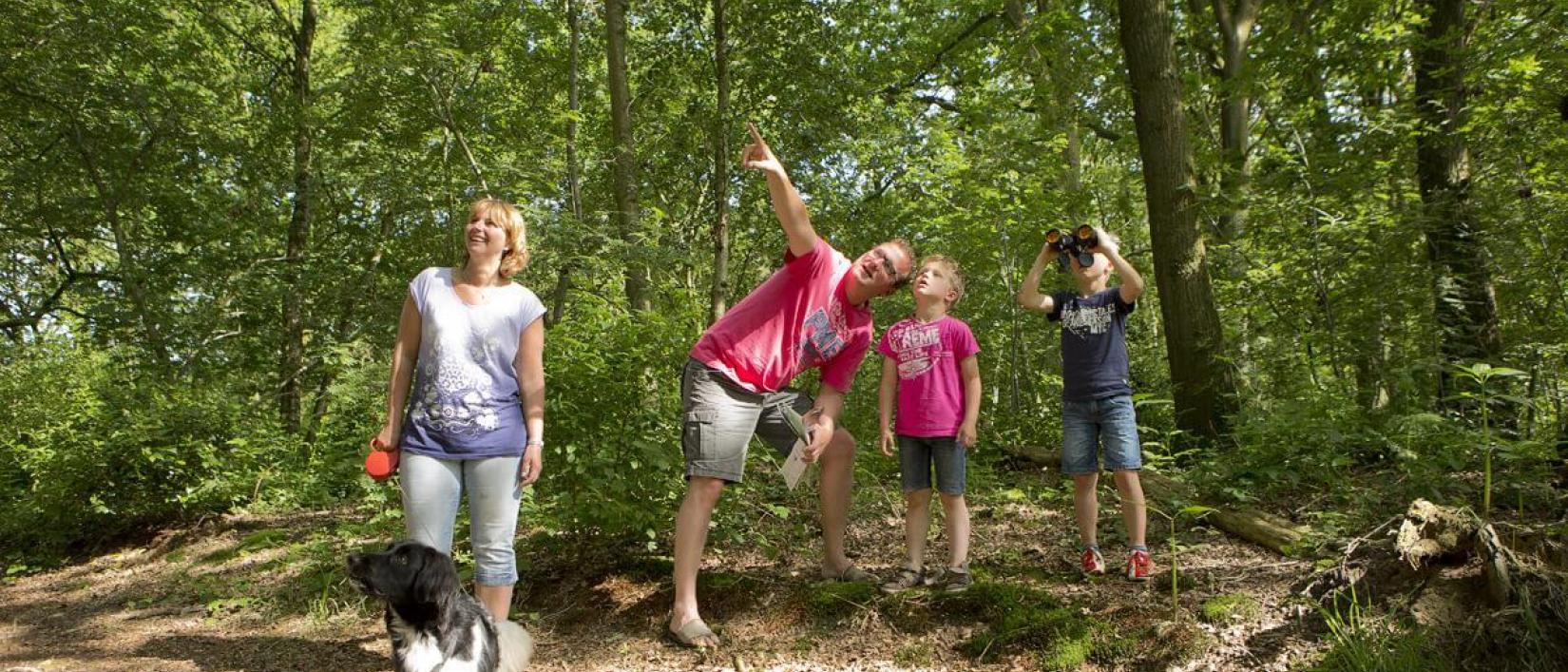 Hoofdfoto Camping Si-es-an
