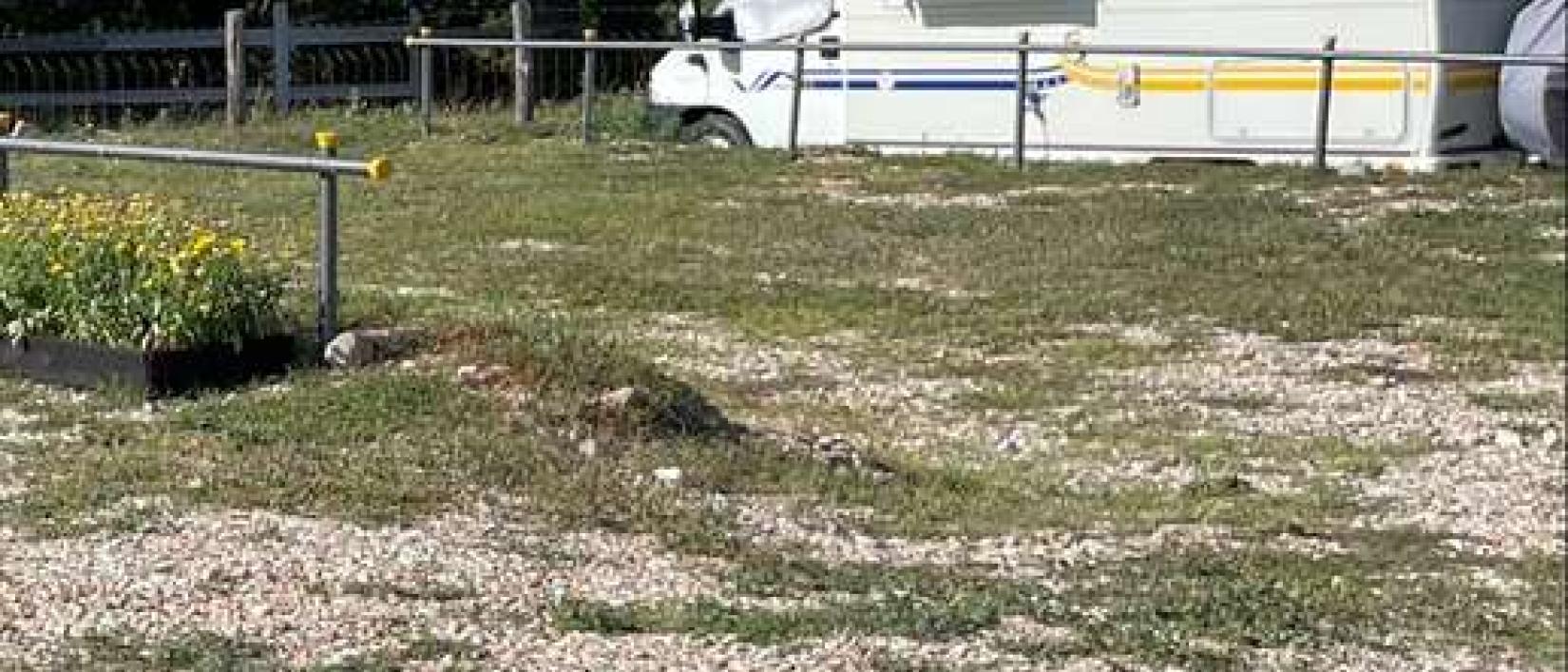 Hoofdfoto Agricamper Il Casale
