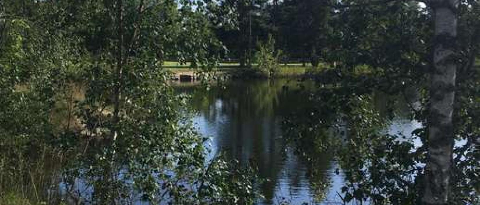 Hoofdfoto Parking nabij zwemwater