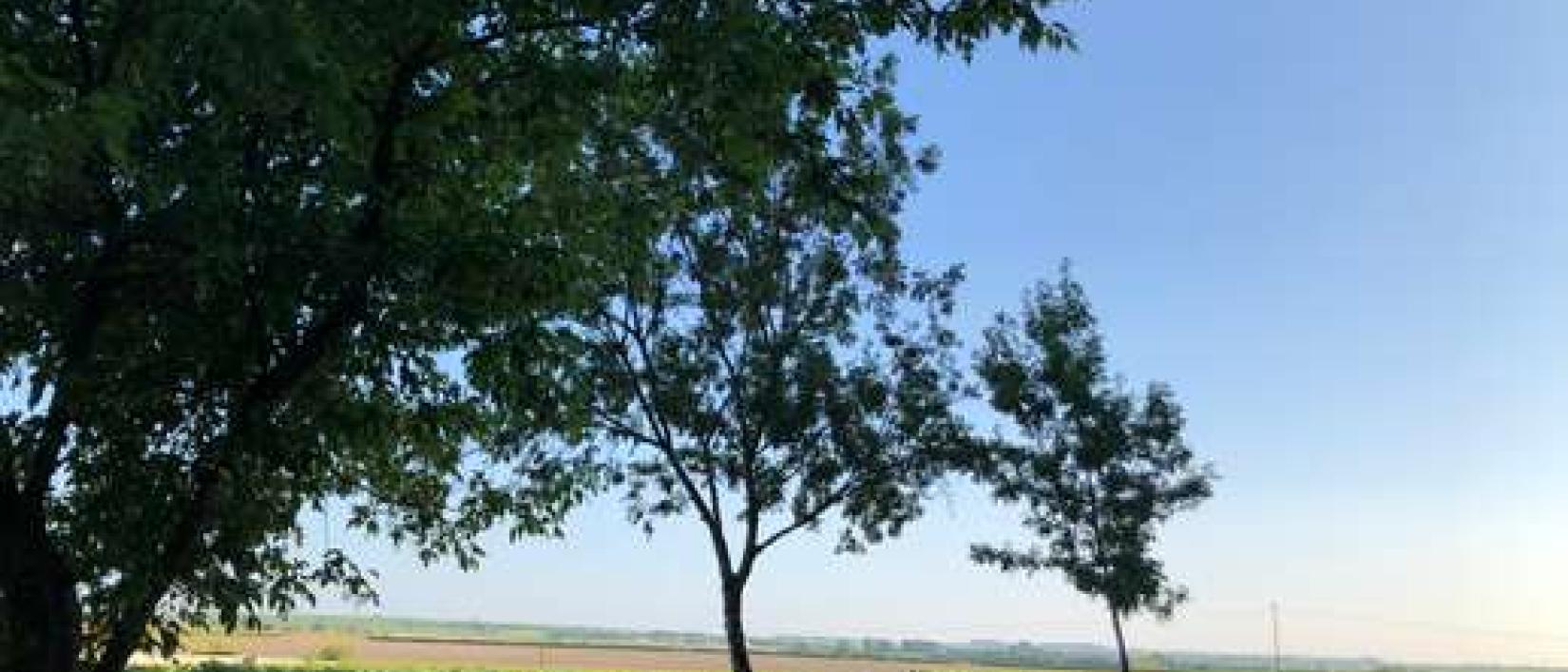 Hoofdfoto Domaine Goyon